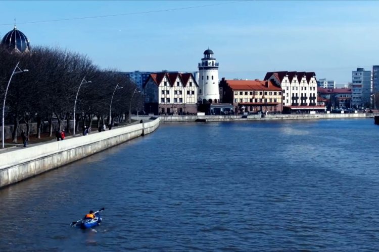 В Калининградской области открылось сразу 2 программы кешбэка