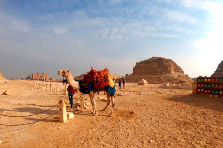 Обозначен самый популярный маршрут на курорты Египта