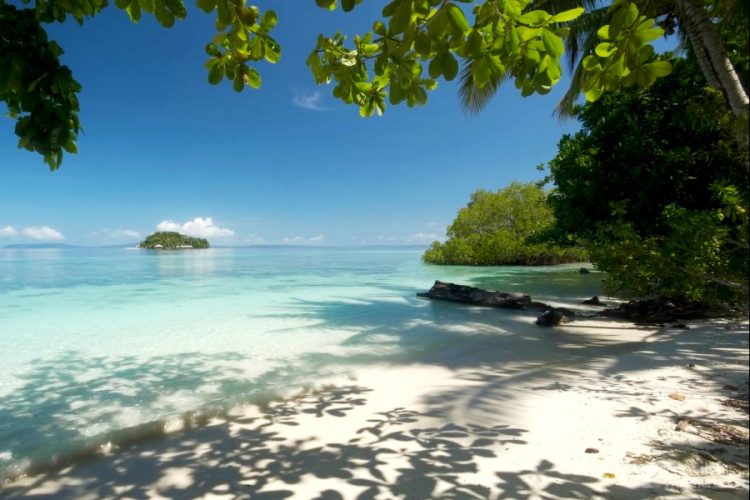 Аэропорт Шереметьево готовит рейсы в Гоа