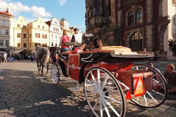 Минздрав РФ выступает против вакцинных туров из Чехии