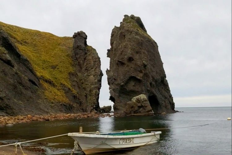 АТОР запускает проект для потерявших во время пандемии работу