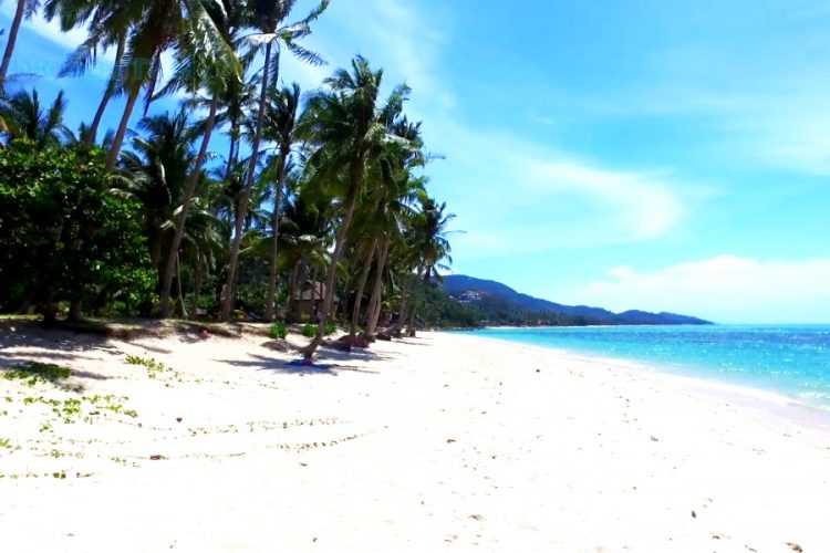 Таиланд не пустит интуристов на пляжи, пока не появится вакцина