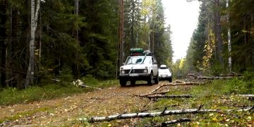 Более 80% автотуристов жалуются на дороги в России