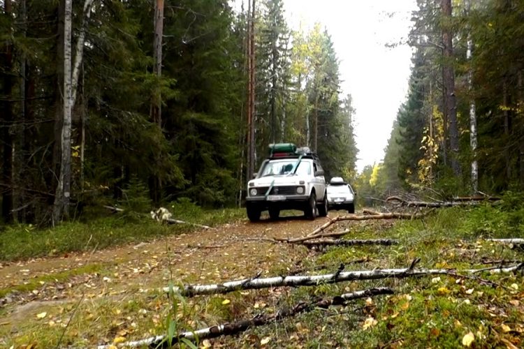 Более 80% автотуристов жалуются на дороги в России