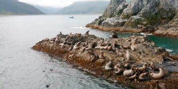 Ростуризм обозначил свою позицию относительно туризма на Камчатке