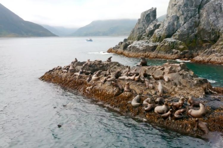 Ростуризм обозначил свою позицию относительно туризма на Камчатке