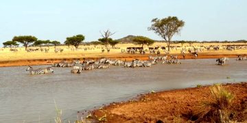 Coral Travel поделился планами по Турции и Танзании на зимний сезон