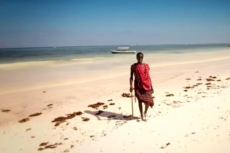 На Занзибар выходит еще три туроператора - сколько стоит тур?