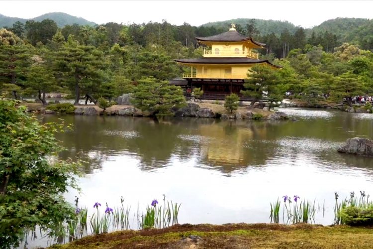 В Японии рассказали, когда ждут деловых туристов