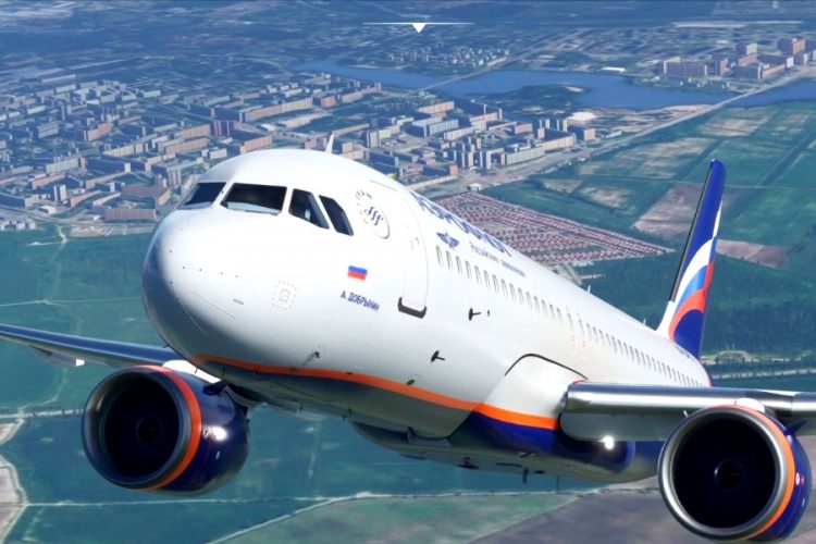 Собаки будут находить больных коронавирусом в российских аэропортах