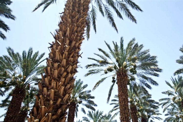 TUI продаст 40 отелей и круизную линию, чтобы не обанкротиться