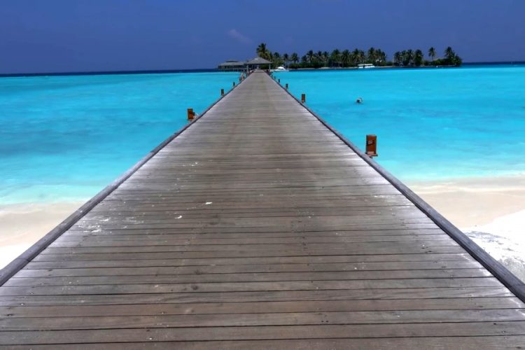 На Мальдивах обозначили признаки восстановления туризма