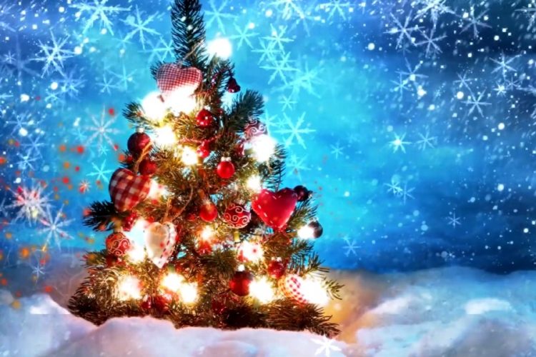 Российские туристы не боятся карантина на Новый год