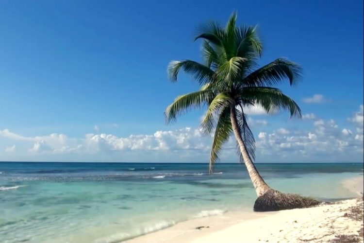 Накануне открытия: какие отели Доминиканы самые необыкновенные