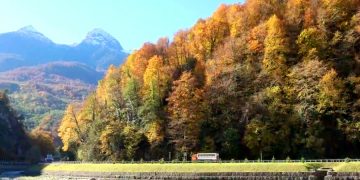 Черноморские курорты должны решить не только проблему с дорогами