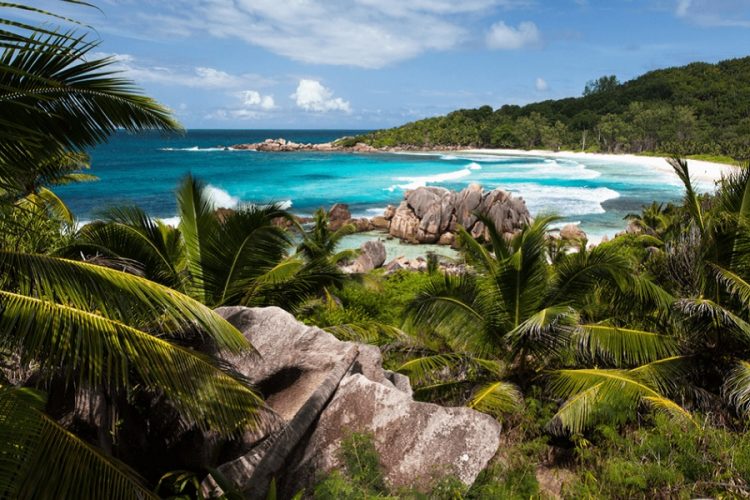 новость 25-11-2020 Вероятность появления авиарейсов на Сейшелы обсуждают турагенты