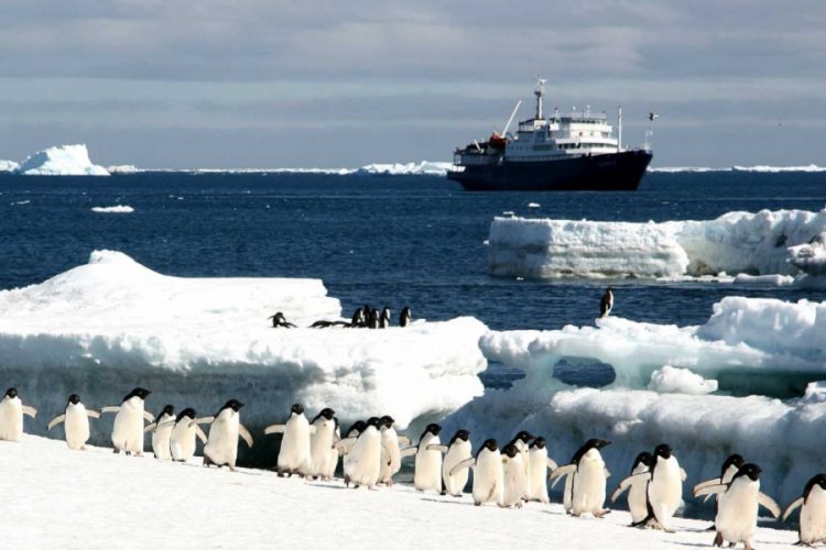 новость 30-11-2020 "Туризма в российской Арктике нет"- заявляет руководитель Arctic Travel Company Grumant