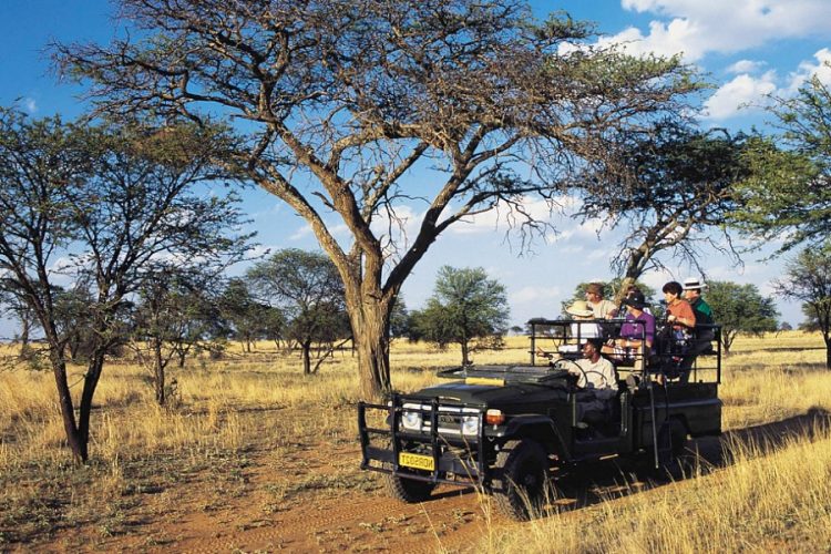 новость 19-11-2020 Южно-Африканская Республика открылась для международных туристов