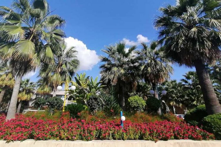 Погода в Анталии способствует туризму