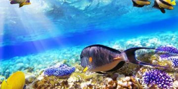 Пара туристов попала в ловушку в отеле Египта