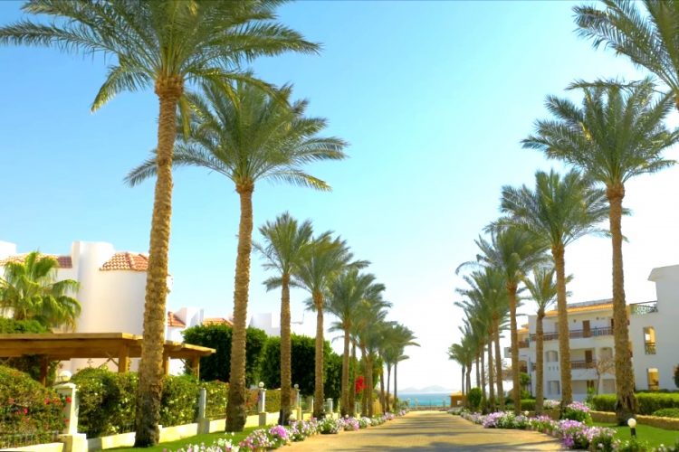 Зимний сезон в Египте будет провальным - приоритетные рынки не прилетят