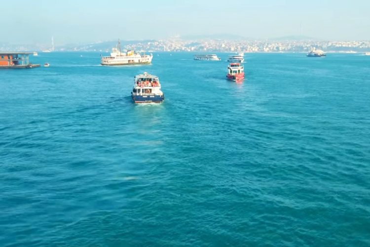 Страховая компания не согласна с официальной статистикой по заражениям в Турции