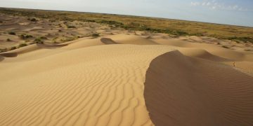 Появилось основание для стимулирования поездок в ОАЭ из России