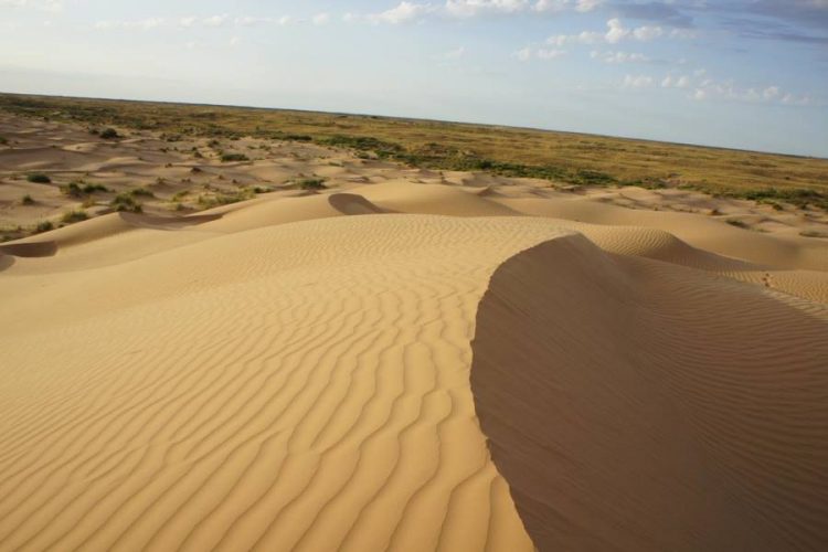 Появилось основание для стимулирования поездок в ОАЭ из России