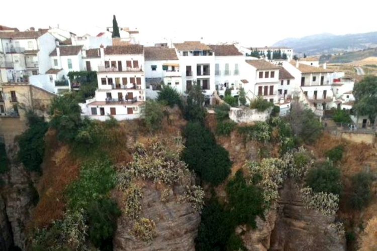 Антиковидные протесты в Испании набирают силу