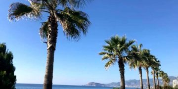 Что опаснее во время заграничного отдыха - covid или другие болезни?