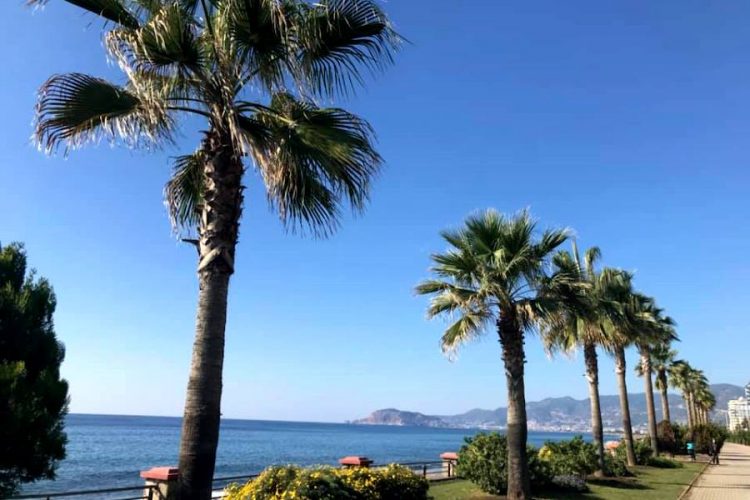 Что опаснее во время заграничного отдыха - covid или другие болезни?