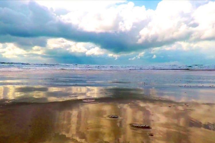 Обозначены потери российского туризма за лето 2020 года