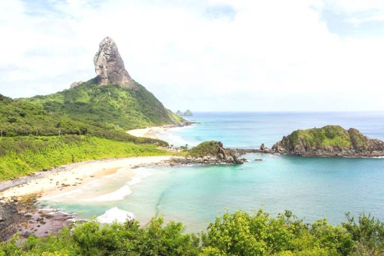 В Бразилии арестованы туристы за подделку тестов на ковид