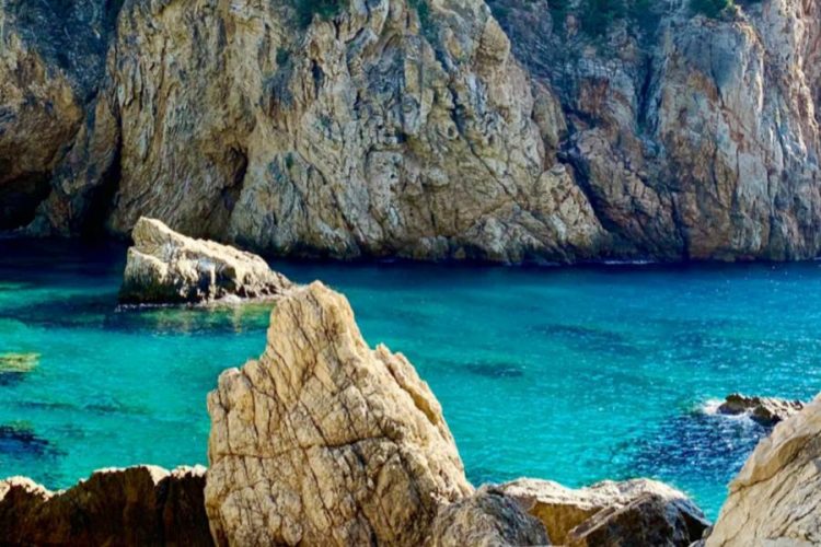 Интурист озвучил свою позицию об открытии Туниса