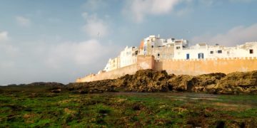 Обновленный рейтинг выгодных "постпандемических" направлений