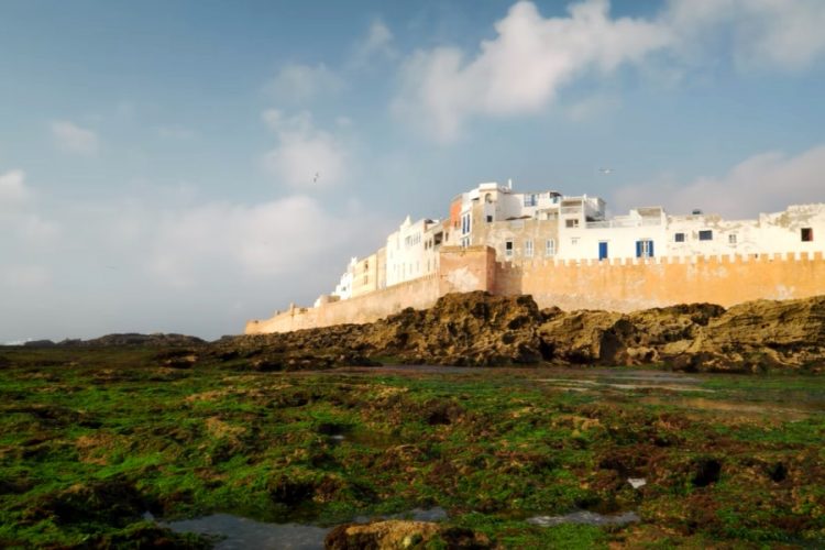 Обновленный рейтинг выгодных "постпандемических" направлений