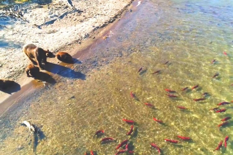 Объяснен повышенный интерес инвесторов к российским курортам