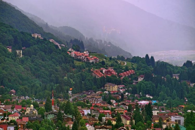 Отель Красной Поляны продают мошеннические сайты