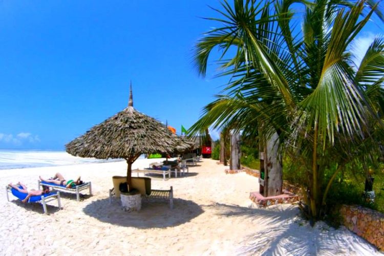 Владелец отеля Waikiki Zanzibar Resort высказался о выселении россиян