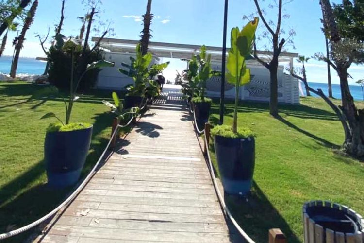 В Египте с насмешкой комментируют восстановление туризма Таиланда