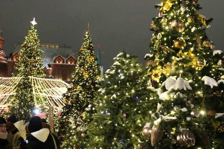 В соцсетях обсуждается продление новогодних каникул до 24 января