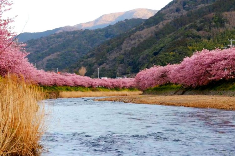 Обнародованы условия въезда россиян в Японию
