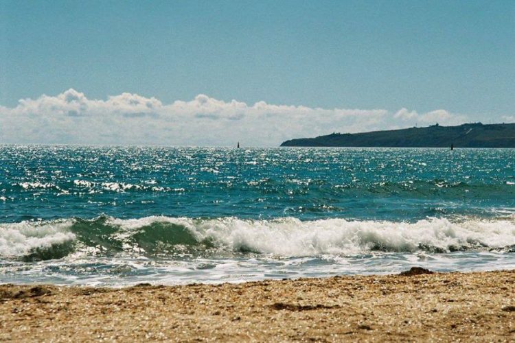 Третья волна коронавируса: когда придет и какой будет