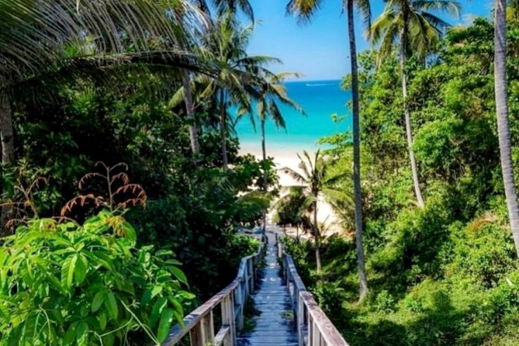 В Таиланде сообщили, сколько туристов оформили долгосрочные визы