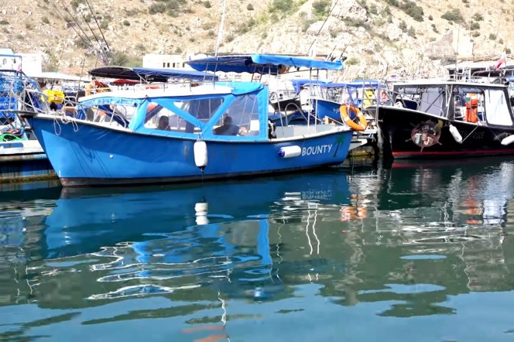 Рост турпотока в Крым составит не менее 10% по итогам летнего сезона 2021 года