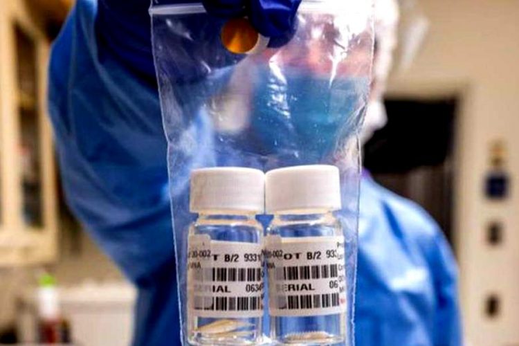 Вакцина от ковид прибавит туристам проблем