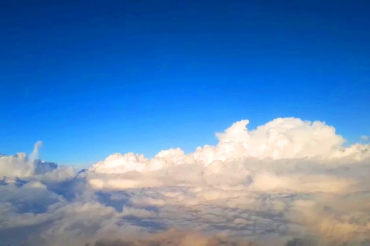 IATA придумала, как быстро восстановить международные поездки