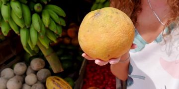 Туры на Шри-Ланку могут стать перспективой ближайшего будущего