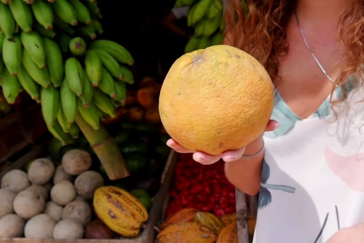 Туры на Шри-Ланку могут стать перспективой ближайшего будущего