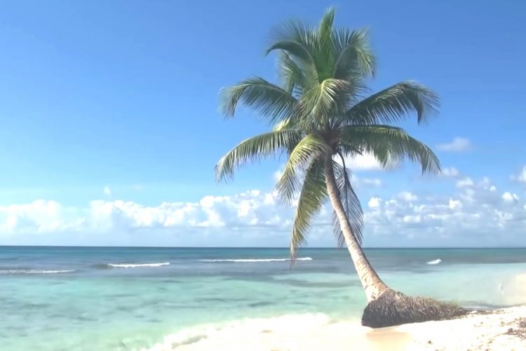 Шри-Ланка: что потребуют от туристов и когда таки стартует программа